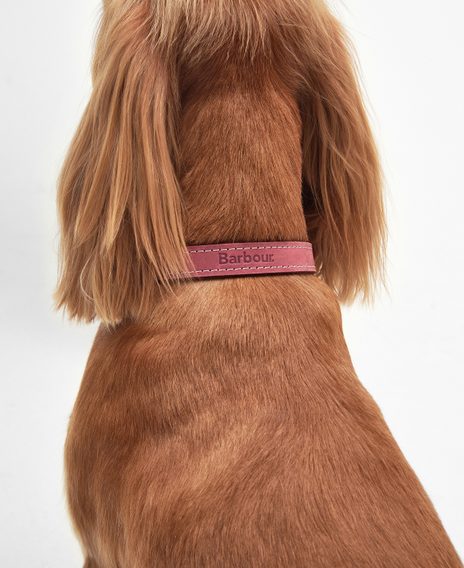 Barbour Leather Dog Collar — Classic Pink