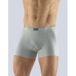 GINA pánské boxerky s kratší nohavičkou, kratší nohavička, šité 73097P - sv. šedá šedá