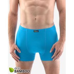 GINA pánské boxerky s kratší nohavičkou, kratší nohavička, šité, jednobarevné Eco Bamboo 73125P - dunaj