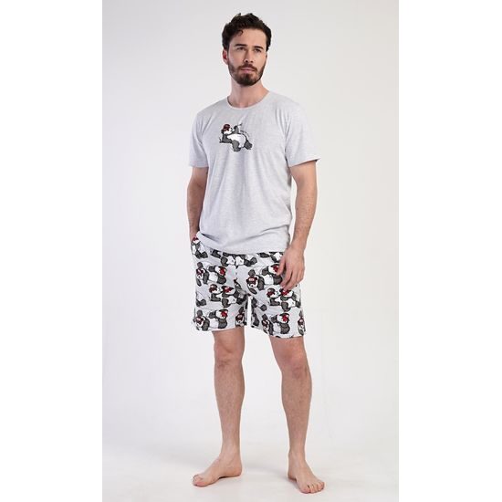 Pánské pyžamo šortky Enjoy - světle šedá