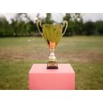 VUCH GAMES vol. 3: Kdo si odnesl vítězný pohár?