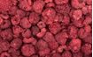 Lyophilised raspberry 90/10 - 1000 g