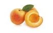 Fruit filling Frutafill Apricot 6 kg