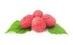 Fruit filling Raspberry 1 kg