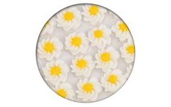 Sugar decoration - Gerberas 28 pc. white