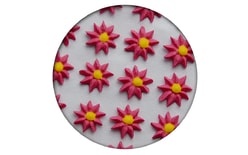 Sugar decoration - Aster 35 pc. red