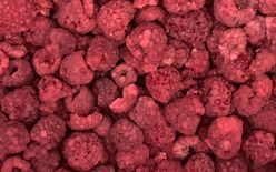 Lyophilised raspberry 90/10 - 1000 g