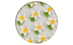 Cukrová dekorace - Květy jednoduché s lístkem 35ks bílé