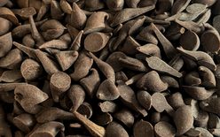 Perú kôstky tmavá čokoláda 60% Single Origin - 0,5 kg