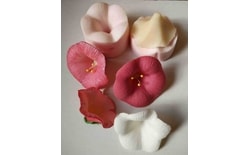 Silicone mould - Hibiscus flower