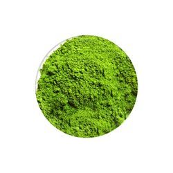 Powdered food colour Green 5 g