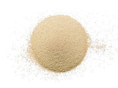 Baker's yeast Instant powder - 500 g