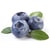 Blueberry filling with piece fruit Mella Filling Ireks - 3 kg