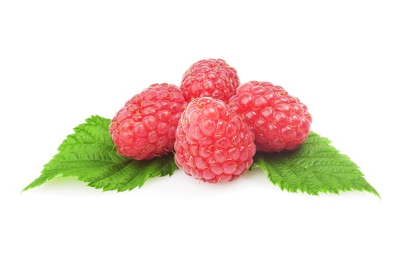 FRUIT FILLING RASPBERRY 1 KG