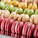 MACAROON MIX 1 KG - MIXTURES AND PREPARATIONS - RAW MATERIALS