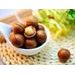 HAZELNUT FLAVOURING PASTE NOCCIOLA MAXIMA PREMIUM 200 G - FLAVORING PASTES AND ADDITIVES - RAW MATERIALS