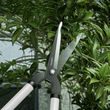 Ruční nůžky na zahradu (Gardlov)
