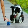 Žvýkací míček pro psy - velký