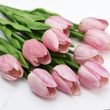 Umělé tulipány 10 ks - světle růžové