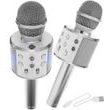 Karaoke mikrofon s reproduktorem Izoxis - stříbrný (ISO)