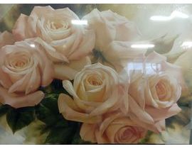 Obraz na plátně 50x70/3cm Bílé růže