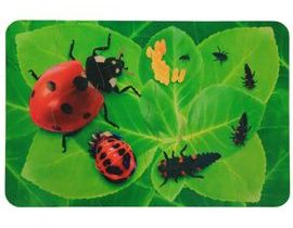 Insect Lore MEGA pěnové puzzle - Beruška