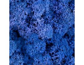Dekorativní Sobí mech Naturel Royal Blue 500 g - královská modrá
