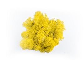 Dekorativní Sobí mech Naturel Yellow 500 g - žlutý