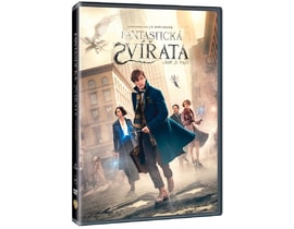 Fantastická zvířata a kde je najít, DVD