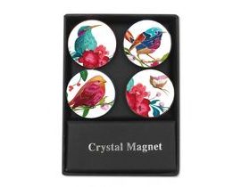 Krystalové magnetky - kruhy ptáčci