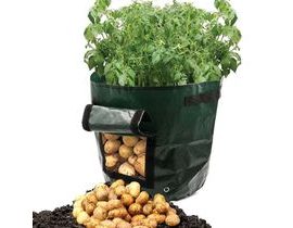 Multifunkční pytel na sázení a pěstování brambor 40 cm - zelený (APT)