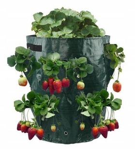 Výsadbový pytel na pěstování jahod - zelený 35 cm