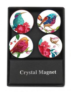Krystalové magnetky - kruhy ptáčci