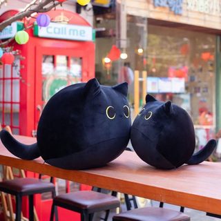 Polštář černá kočka