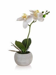 HOME DECOR Orchidej v papírovém květináči 32 x 23 cm, bílá