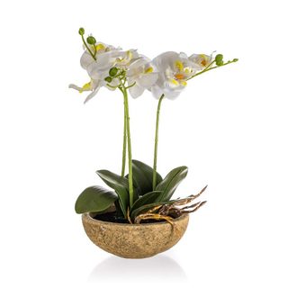 HOME DECOR Orchidej v betonovém květináči 30,5 x 17 cm, bílá
