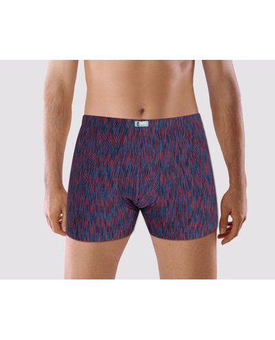 Pánské boxerky z bambusového vlákna PS5391