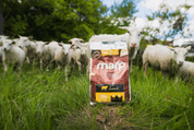 MARP HOLISTIC LAMB - JEHNĚČÍ BEZ OBILOVIN 2KG - GRANULE PRO DOSPĚLÉ PSY