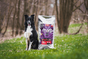 MARP HOLISTIC RED MIX - HOVĚZÍ,KRŮTÍ,ZVĚŘINA BEZ OBILOVIN 12KG - GRANULE PRO DOSPĚLÉ PSY