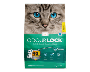 INTERSAND KOČKOLIT ODOUR LOCK - SVĚŽÍ VŮNĚ 6 KG