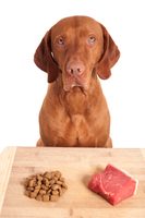 Jak správně krmit psa 4.díl - Jak se zorientovat ve složení