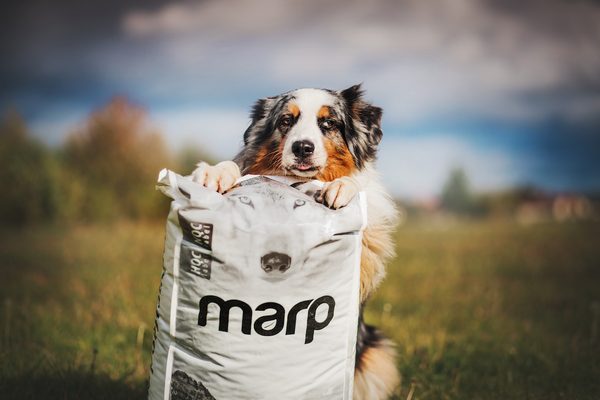 Krmivo Marp