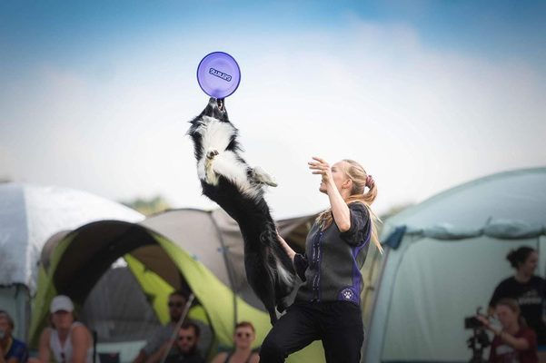 Aminela disky na ME a MS v dogfrisbee