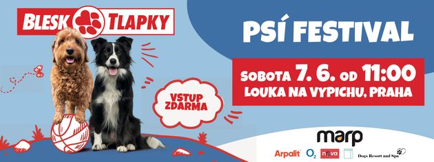 BLESK TLAPKY FESTIVAL