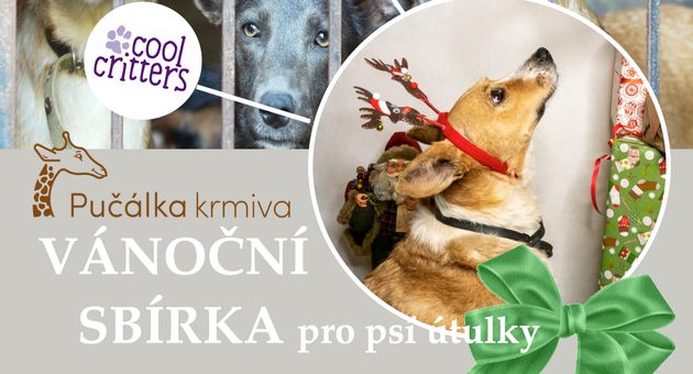 Vánoční sbírka s Pučálkou