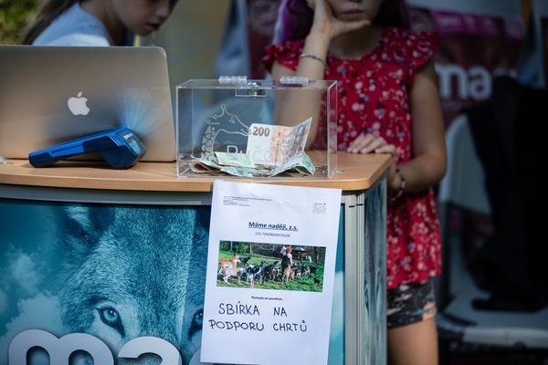 Charitativní běhy Pučálka na dostihové dráze Kolín