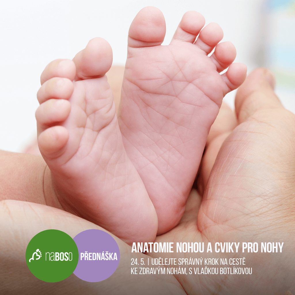 Anatomie nohou a cviky pro nohy - přednáška s Vlaďkou Botlíkovou