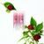 BIORYTHME BIO LIP BALM WITH CHIA OIL 100% natural