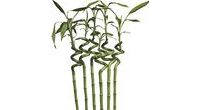Ložní souprava Bamboo celoroční