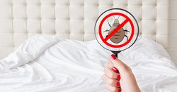 Hygiena Vaší ložnice nejen v období virových epidemií